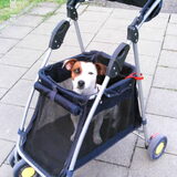 ik zie er uit alsof ik reclame maak voor de buggy,niet?