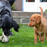 Foto van Maks met Fenna & Yuna
