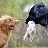 Foto van Maks met Fenna & Yuna