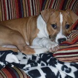 Chico 6 maanden oud!