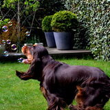 Foto van Valérie, Milo en Noa