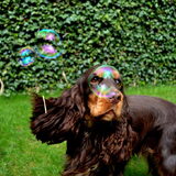 Foto van Valérie, Milo en Noa