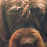 Ik ben niet blij met mn neusriem.....