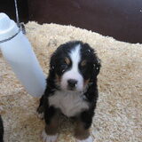 Foto van Constance R.I.P. Beau