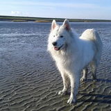 Foto van Team Black & White