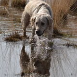 Foto van Sanne, Djyla en Quinto