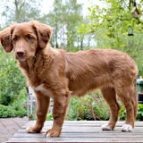 Foto van Maks met Fenna & Yuna