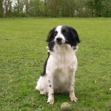 Foto van Angelique; Bruno, Charlie & Fenna