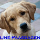 Foto van Golden Girls