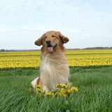 Foto van L&R