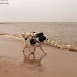 HP-wandelling 21-04-2014