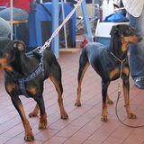 Broer en zus Jando en Jay-Dee