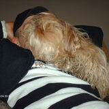 Foto van liesbeth,Turbo,Luna, Levi en Faith