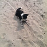 Foto van Angelique, Kleine Maybe en Tess <3