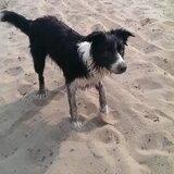 Foto van Angelique, Kleine Maybe en Tess <3