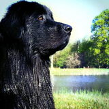 Foto van Anouk & Balou<3