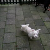 Foto van Susan