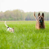 Foto van De Mecheltjes clan