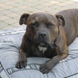 Foto van Elly