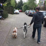 Foto van Crissy, Joey en Kiwi
