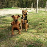 Foto van Eline, Gruul en Thalia
