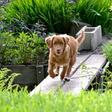Foto van Maks met Fenna & Yuna