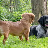 Foto van Maks met Fenna & Yuna