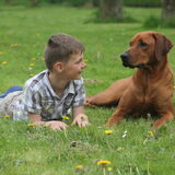 zo lief die twee