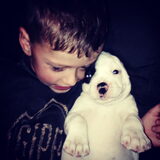 Foto van Claudia & Dice  (American Bulldog)