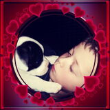 Foto van Claudia & Dice  (American Bulldog)