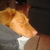 Foto van judith