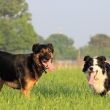 Foto van Eline & Vino