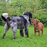 Foto van Maks met Fenna & Yuna