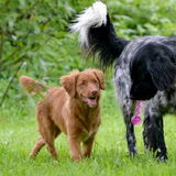 Foto van Maks met Fenna & Yuna