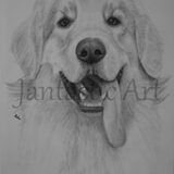 A4 getekend met houtskool