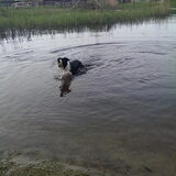 Foto van Angelique, Kleine Maybe en Tess <3