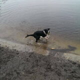Foto van Angelique, Kleine Maybe en Tess <3