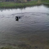 Foto van Angelique, Kleine Maybe en Tess <3