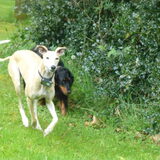 Foto van Ina, Misty en Aysa