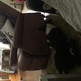 Foto van Angelique, Kleine Maybe en Tess <3