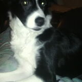 Foto van Angelique, Kleine Maybe en Tess <3