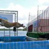 Pippa! Van Suus :) Animal Event 04-05-2014