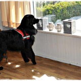 Foto van Anouk & Balou<3