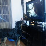 mmm volgens mij vind lola m knap