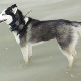 Beetje wind aan het strand !