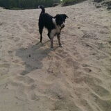Foto van Angelique, Kleine Maybe en Tess <3