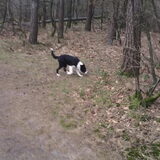 Foto van Angelique, Kleine Maybe en Tess <3