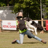 Animal Event