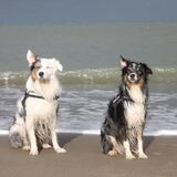 In Zeeland lekker met de wind mee!
