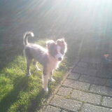 4 maandjes oud